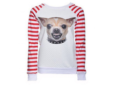 �������� ������� �������� -620 ���.