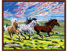 ���� �������: GL5204 505 ������