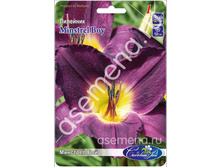 �������� ���.jpg