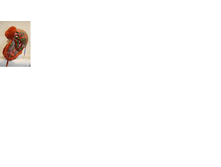 ����������4.png