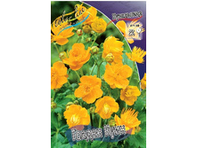 76,75���. ���������� ������ ����(�������� ���� �� 2 ��., ����������� ����� 1��.).jpg