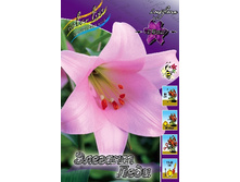 33,08���. ����� ������� ����(�������� ���� �� 5 ��., ����������� ����� 1��.).jpg