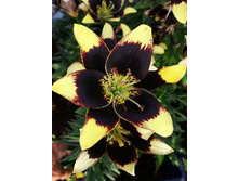 37,4���. ����� ��� ����(�������� ���� �� 5 ��., ����������� ����� 1��.).jpg