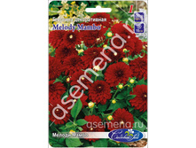 ������ �����.jpg