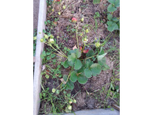 20151006 063229.jpg