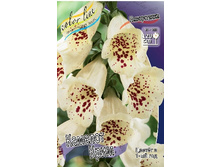 107���. ����������� ������� ����(�������� ���� �� 1 ��., ����������� ����� 1��.).jpg