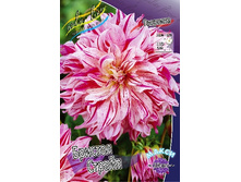 84,8���. �������� ������� ������(�������� ���� �� 1 ��., ����������� ����� 1��.).jpg