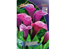 111,2���. ����� ������(�������� ���� �� 1 ��., ����������� ����� 1��.).jpg