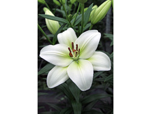 20,17���. ����� �������(�������� ���� �� 7 ��., ����������� ����� 1��.)���16.jpg