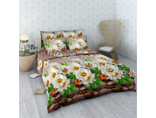 ������� �� ������.jpg