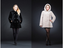 ��������. 40-54