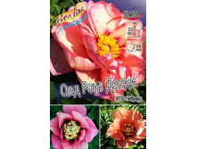 1424���. ���� ��� ���� ����� (���)(�������� ���� �� 1 ��., ����������� ����� 1��.).jpg