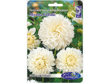 ������ ������.jpg