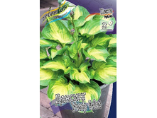 204,9���. ����� ���� ��� ��(�������� ���� �� 1 ��., ����������� ����� 1��.).jpg