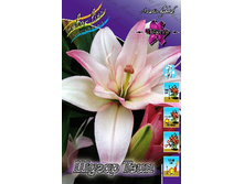 46,04���. ����� ����� ����(�������� ���� �� 5 ��., ����������� ����� 1��.).jpg