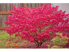 ��������� ��� ������-129.jpg