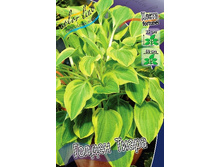 66,8���. ����� ������ �����(�������� ���� �� 2 ��., ����������� ����� 1��.).jpg