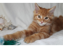 ���� 2015 1084.jpg