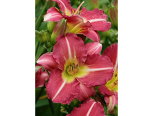 171,7���. �������� ��������(�������� ���� �� 1 ��., ����������� ����� 1��.)���16.jpg