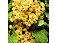 147���. ��������� ����� ����� ���������.jpg