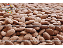 ������� ������� �������