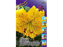 37,4���. ����� ���� ��������(�������� ���� �� 5 ��., ����������� ����� 1��.).jpg