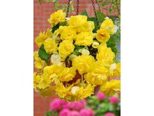 50,44���. ������� ������ ������� ������(�������� ���� �� 5 ��., ����������� ����� 1��.).jpg