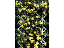 ��������� 220���. (����� �������� ��� 3��.).jpg