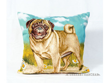 ���� - ����������� ���������.jpg