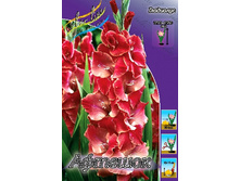 13,56���. ��������� �������(���������� �� ����� �������� �� 7��.).jpg