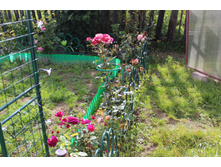 ������� (43).JPG