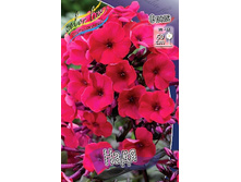 86���. ����� ����(�������� ���� �� 3 ��., ����������� ����� 1��.).jpg