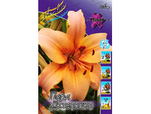 37,4���. ����� ���� ��������(�������� ���� �� 5 ��., ����������� ����� 1��.).jpg