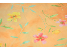 ���������� ���. 53090.jpg