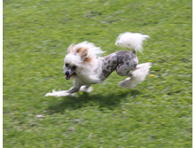 ���� 2015 150a.jpg