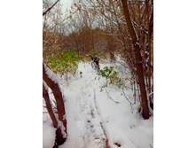 IMG 20151011 093431.jpg