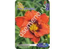 ��� �� ������.jpg