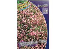 19,8���. ��������� ���������� ����(���������� �� ����� �������� �� 3��.).jpg