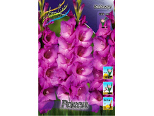 10,19���. ��������� �����(���������� ������ ������ ���������� �� 8 ��.).jpg