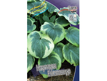 163,4���. ����� ������� ��������(�������� ���� �� 1 ��., ����������� ����� 1��.).jpg