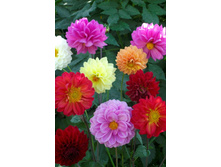 �������� ����� ������ 20�� 14.jpg