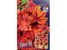 271,2���. ���������� ���� ��(�������� ���� �� 1 ��., ����������� ����� 1��.).jpg