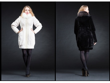 �����. 40-54