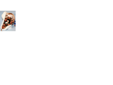 ���������1.png