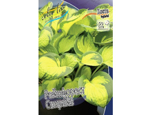 130,3���. ����� ���������� �������(�������� ���� �� 1 ��., ����������� ����� 1��.).jpg