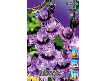 13,56���. ��������� ������(���������� �� ����� �������� �� 7��.).jpg