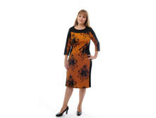 ������ 822