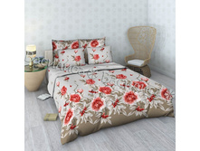 ���� � ��������.jpg