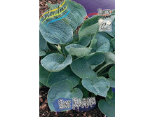 73,4���. ����� ��� �����(�������� ���� �� 2 ��., ����������� ����� 1��.).jpg