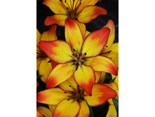 24,44���. ����� ������ ����(�������� ���� �� 5 ��., ����������� ����� 1��.).jpg